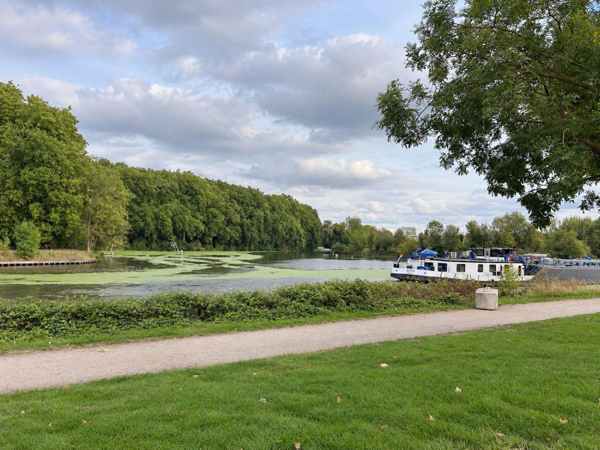 location appartement lille refla23388 gf