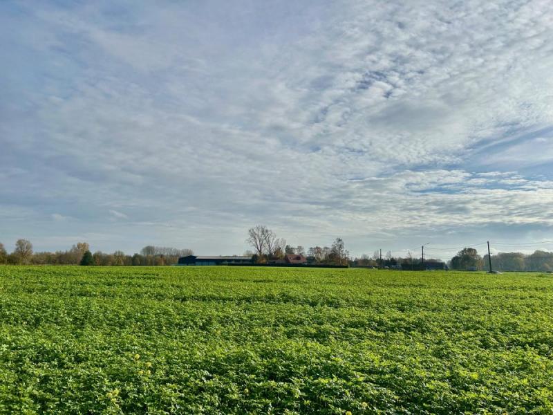 vente maison verlinghem refvm38776 gf   idphoto.jpg