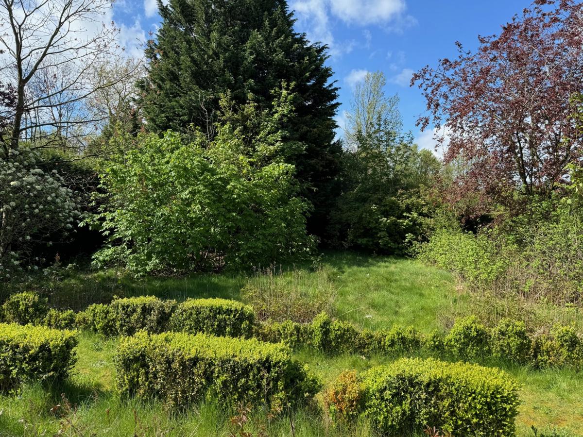 Exclusif - Magnifique terrain Côte Joire